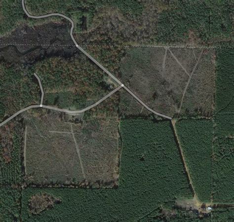 63 Acres In Bossier Parish Louisiana