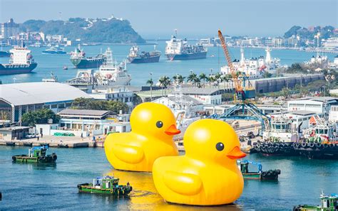 睽違10年 黃色小鴨成雙游進高雄愛河灣 東台灣新聞網