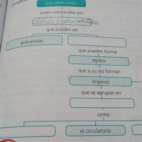 Los seres vivos están constituidos por Qué puede ser procariotas