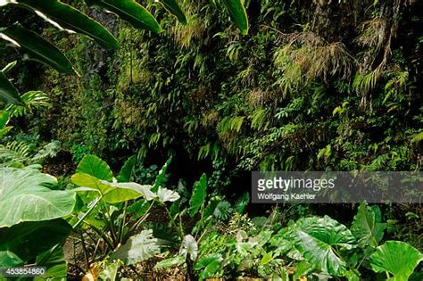 Maraa Grotto Photos And Premium High Res Pictures Getty Images