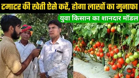 🍅 टमाटर की खेती इस तरीके से करें तो मुनाफा होगा डबल Tomato Farming Tamatar Ki Kheti Kese Kare