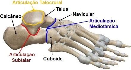 Cisto Sinovial No P O Que Veja Os Sintomas