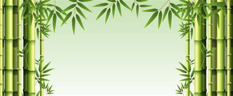 Bamboo Clipart Pictures