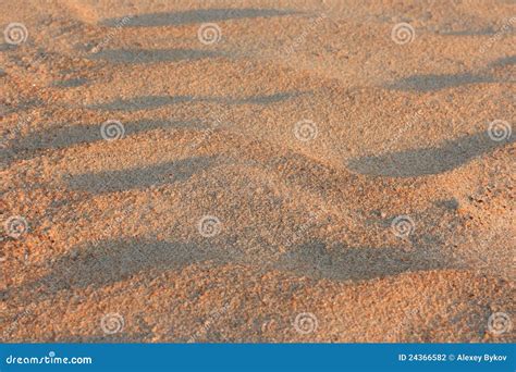 Dunas De Areia India Foto De Stock Imagem De Bege 24366582