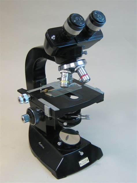 binocular microscope physics museum  university  queensland