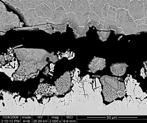 Cross Sectional Morphologies Of Ss Corroded At K In Li Na K