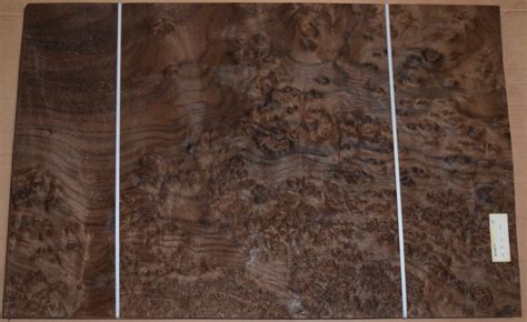 Walnut Burl Veneer