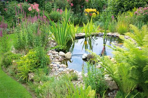 Gartenteich Anlegen Und Pflegen Hornbach