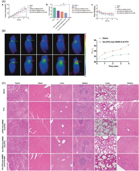 Anti Tumor Efficacy Of Micelles On The A549 Tumor Bearing Nude Mice