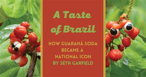 A Taste Of Brazil How Guaraná Soda Became A National Icon Study Abroad