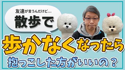 【犬のしつけ】お散歩で歩かない時は抱っこしていいの？【悩み相談ライブ切り抜き】 Youtube