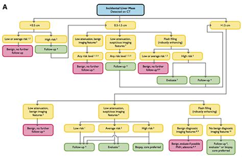 Managing Incidental Findings on Abdominal CT: White Paper of the ACR ...