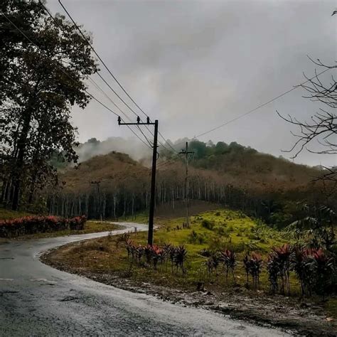 Melihat Aneka Satwa Yang Hampir Punah Di Taman Nasional Meru Betiri