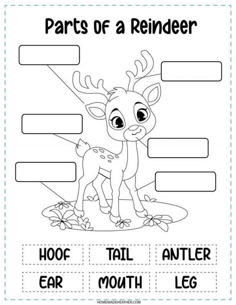 Free Reindeer Activity Printables Reindeer Crafts Preschool Reindeer