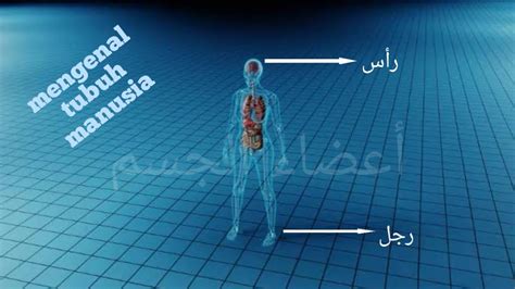 Belajar Kosa Kata Bahasa Arab Organ Tubuh Versi Pantun Janda