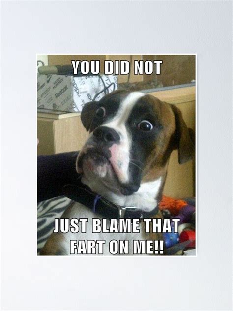 "You did not just blame that fart on me - Funny dog meme" Poster for ...