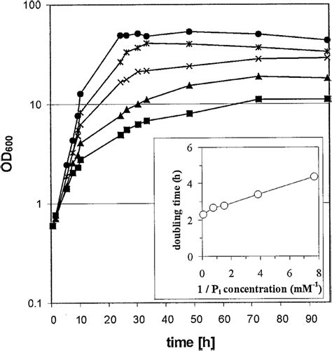 Growth Of C Glutamicum Atcc 13032 In Cgxii Minimum Medium With 40 G Of