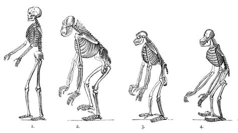 The Spooky Definitions Quiz Bbc Bitesize