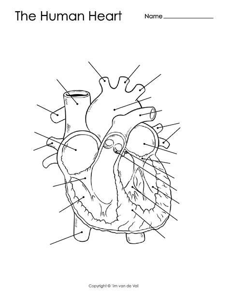 Label parts of the heart Interactive worksheet Biology lessons, Parts