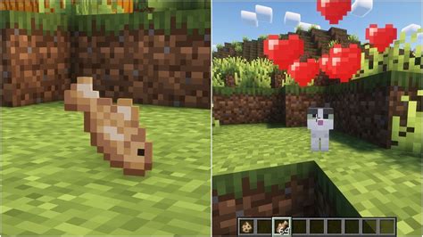 Minecraft cat taming guide: All you need to know