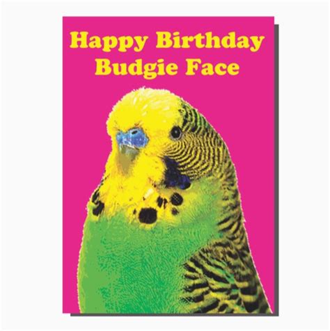 Budgie Birthday Card – Birds Yard