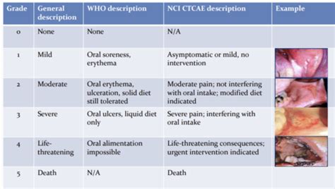 Gi Toxicity Flashcards Quizlet