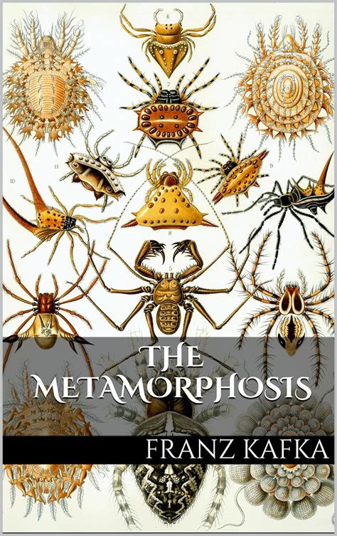 The Metamorphosis Illustrated Edition Ebook Kafka Franz Cascais