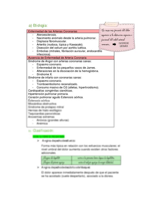 SOLUTION 13 Fisiopatolog A Y Semiolog A Del Dolor Tor Cico Studypool