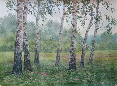 Birch Thicket Watercolour By Valeriy Savenets 1 Artfinder