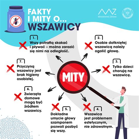 Fakty I Mity O Wszawicy Przedszkole Nr 1