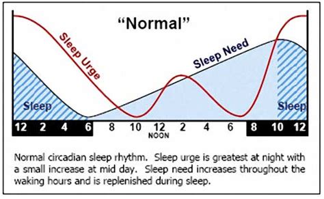 20 Luxury Circadian Rhythm Chart