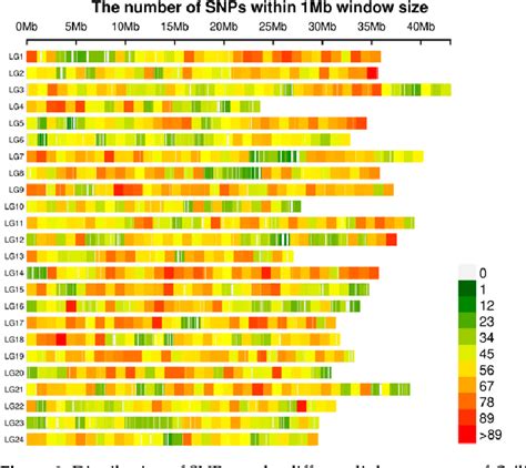 PDF Genetic Diversity And Population Structure Of Coilia Nasus