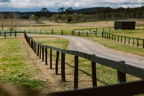 Timber fence posts - The biggest problems and their solutions.