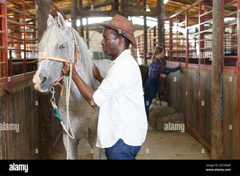 Positive Couple Man And Woman Feeding Horses Corn In Stable Stock Photo