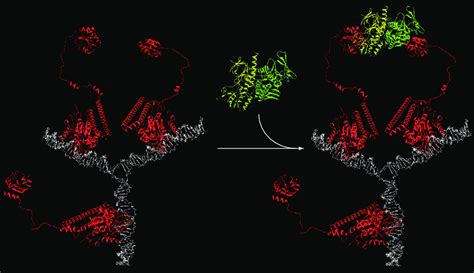 Model Of The Binding Interaction Between The Nanodevice Nd Trx And