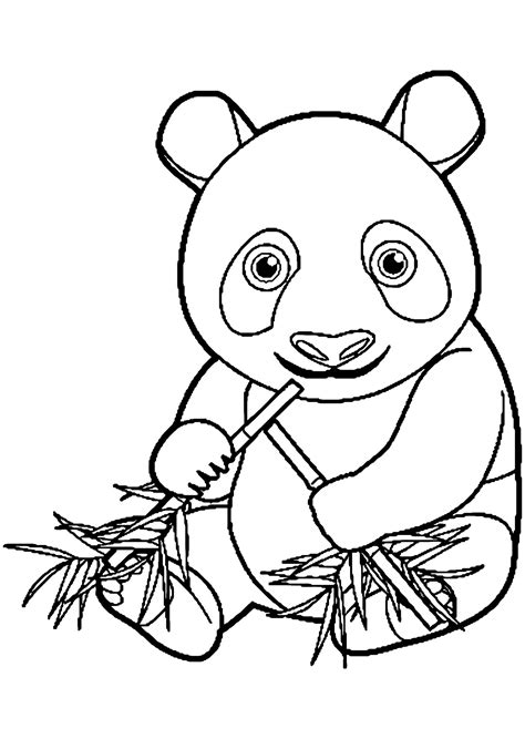 Coloriage Panda - Riset