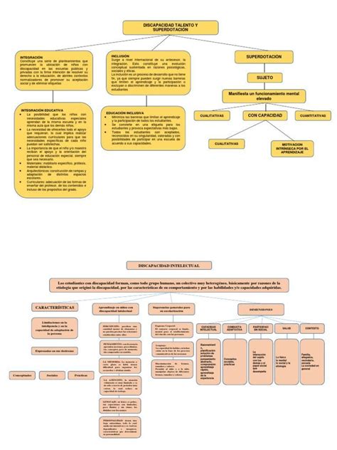 1 Elabora Un Mapa Cognitivo De La Información Más Relevante De Las Discapacidades Brainlylat