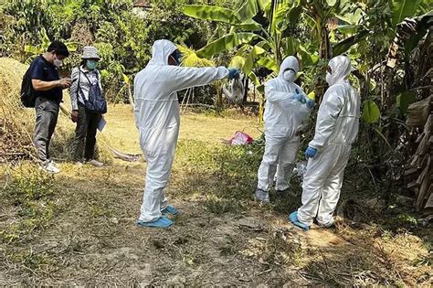 Kamboja Klaim Penularan Kasus Flu Burung Bukan Dari Manusia