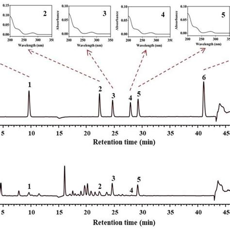 The High Performance Liquid Chromatography With A Diode Array Detector