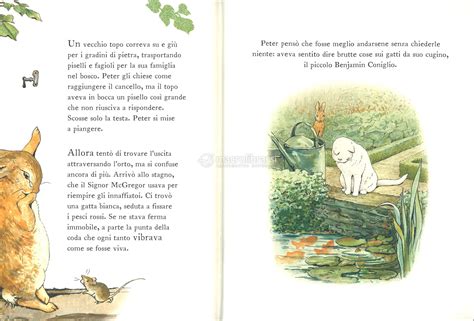 La Storia Di Peter Coniglio Libro Di Beatrix Potter