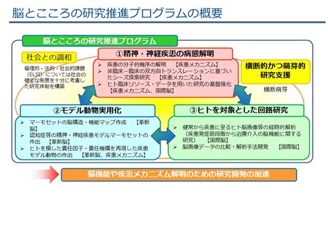 脳とこころの研究推進プログラム（精神・神経疾患メカニズム解明プロジェクト・領域横断的かつ萌芽的脳研究プロジェクト・革新的技術による脳機能