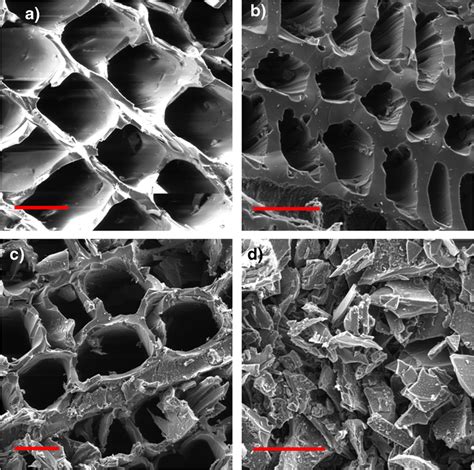 SEM Images Of Cedar Wood Based Biochar Prepared At Pyrolysis