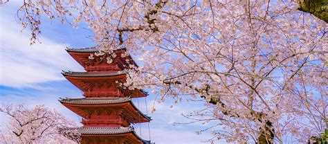 Japan Tour Package 2025 | 7 Day Cherry Blossom Vacation | All Inclusive ...