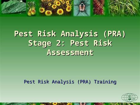 Ppt Pest Risk Analysis Pra Stage 2 Pest Risk Assessment Dokumen Tips