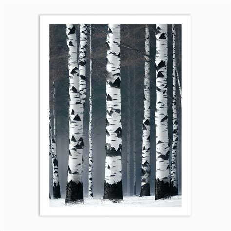 Birch Trees In Winter Art Print By Noctarius Fy