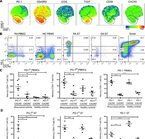 Expanded Tph Cells In Treatment Na Ve Early Ra Synovial Tissue St And