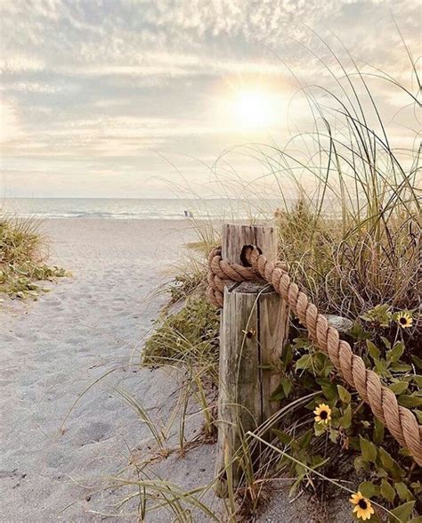 Pin By Sharon Saraceno Prosser On Beach Seascape Paintings Beach