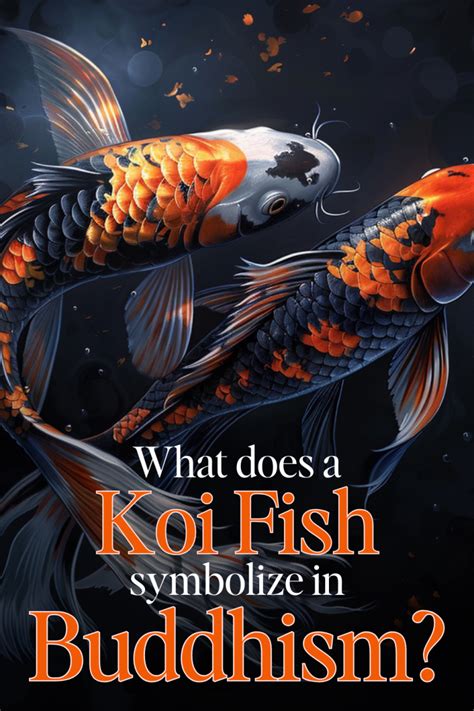 Koi Fish Symbolism 12 Top Symbols