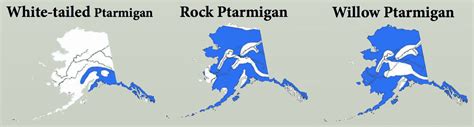 Ptarmigan Photos And Natural History Information