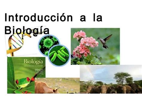 Introducci N A La Biolog A Lenin Yuri Pari Quispe Udocz